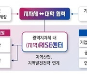 [에듀플러스]성과 홍보하던 브릿지 사업…라이즈 전환되면 사라지나