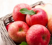 과일, 비타민 풍부하지만… ‘이때’ 먹으면 오히려 몸에 안 좋다?
