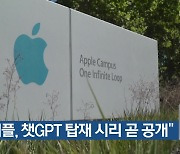 “애플, 챗GPT 탑재 시리 곧 공개”