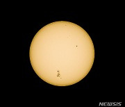 지구 15배 크기, AR3664 태양 흑점 관측