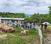 광주 광산구 한 바퀴 '알리요 투어버스' 첫 시범 운행