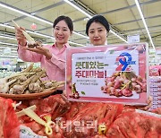 [포토] 농협유통, '햇 주대 마늘' 출시