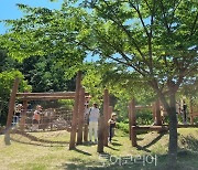 장성군 최초 '유아숲 체험원', 장성공원에 조성