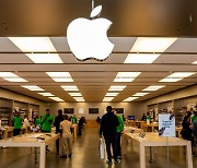 웨드부시 "애플, 아이폰에 챗GPT도입…큰 수익기회"