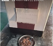 "고양이 없애려고"…40대 섬뜩한 게시글