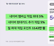 최대 월 1142만 원 포인트라더니…네이버 과장 광고 의혹 제재 착수