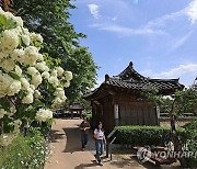 수국과 고택의 정자