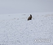 (InXizang) CHINA-XIZANG-CHANGTANG NATIONAL NATURE RESERVE-WILDLIFE (CN)