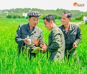 북한, 알곡 증산 위한 과학농사추진조 활동 심화