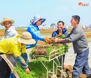 북한, 올해 모내기 진행…농업근로자들에 '주인의식' 강조