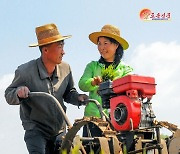북한, 알곡 생산 위한 모내기 촉구…'과학기술농법' 강조