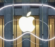 "애플, 내달 비전프로 한국 출시"…판매 부진 극복할까