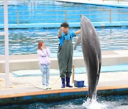동물원·수족관 수의사들 "거제씨월드, 고래류 건강 문제 있다면 공연 제한해야"