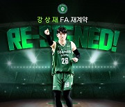 DB, MVP 알바노 이어 강상재도 잡았다…“5년 총액 7억원 재계약”