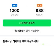 네이버페이 신용점수 올리기 이용자 중 40% 효과 봤다