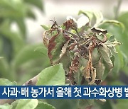 사과·배 농가서 올해 첫 과수화상병 발생