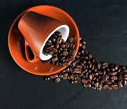 널뛰는 기후에 날뛰는 환율…커피 원두값 1년 새 47% 껑충