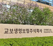 제3보험이 살길… 교보생명, 'DIY형 상품'으로 경쟁 불붙였다