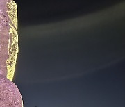 [사진] 대전 봉덕사 석조보살입상 앞 밝힌 연등