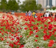 '태화강 국가정원 봄꽃축제' 17일 개막…정원 체험행사 다채