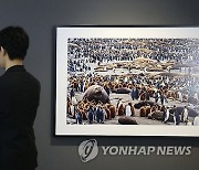 프란스 란팅, 한국서 '디어 포나' 전시 개최