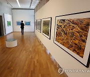 내셔널지오그래픽 작가 프란스 란팅, 한국서 사진전