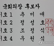 국회의장 선거 2파전