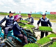 북한, 농업 부문 일꾼들 다그치기…"올해 알곡고지 기어이 점령"