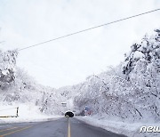 강원 산간에 '최대 7㎝ 눈' 대설예비특보…동해안 최대 100㎜ '폭우'