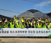 NH농협금융, 남양주 딸기농장 3곳서 일손돕기