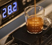 커피원두 수입 가격 1년새 47% 올라…물가오름세 씁쓸
