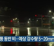 대전·세종·충남 돌풍 동반 비…예상 강수량 5~20mm