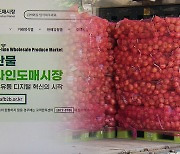 “산지에서 소비지로 직통” 농산물 온라인 도매, 유통 대안될까?