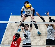 Korean women's volleyball take VNL losing streak to year four