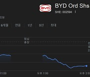 ‘中에 보복관세 예고’에 美 전기차 주가 씽씽···中 BYD는 하락