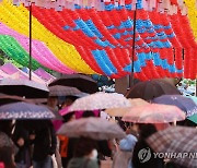 '연등 사이로 내리는 비'