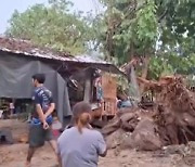 벼락에 쓰러진 나무 집 덮쳐…3세 소녀 생일날 숨져