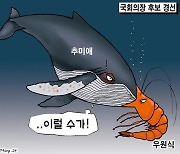 한국일보 5월 17일 만평