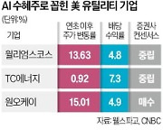 쏠쏠한 배당에 'AI 훈풍'까지…활력 되찾는 유틸리티株