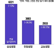 일회성 이익 증가·투자손익 감소…생보사 빅3 실적 '우울'