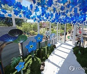 "납북자들의 새벽별 되길"…한강공원에 피어난 '세송이물망초'