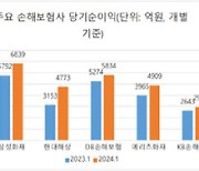 '금리·IBNR' 생·손보 실적 희비