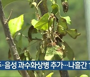 충주·음성 과수화상병 추가…나흘간 11건