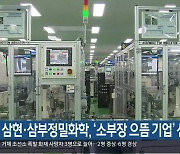 삼현·삼부정밀화학, ‘소부장 으뜸 기업’ 선정