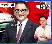 중국 초저가 전기차의 본격 진출 임박…'카푸어' 마다 않는 한국서 팔릴까? [스프]