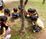 미추홀구, 수봉·용정공원서 '유아 숲 체험 프로그램' 운영