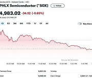 엔비디아 2% 급락, 필라델피아반도체지수 0.69%↓(종합)