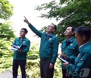 석굴암 주변 점검하는 이한경 재난안전관리본부장