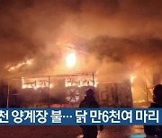 합천 양계장 불…닭 만6천여 마리 폐사