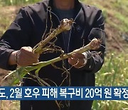 전남도, 2월 호우 피해 복구비 20억 원 확정